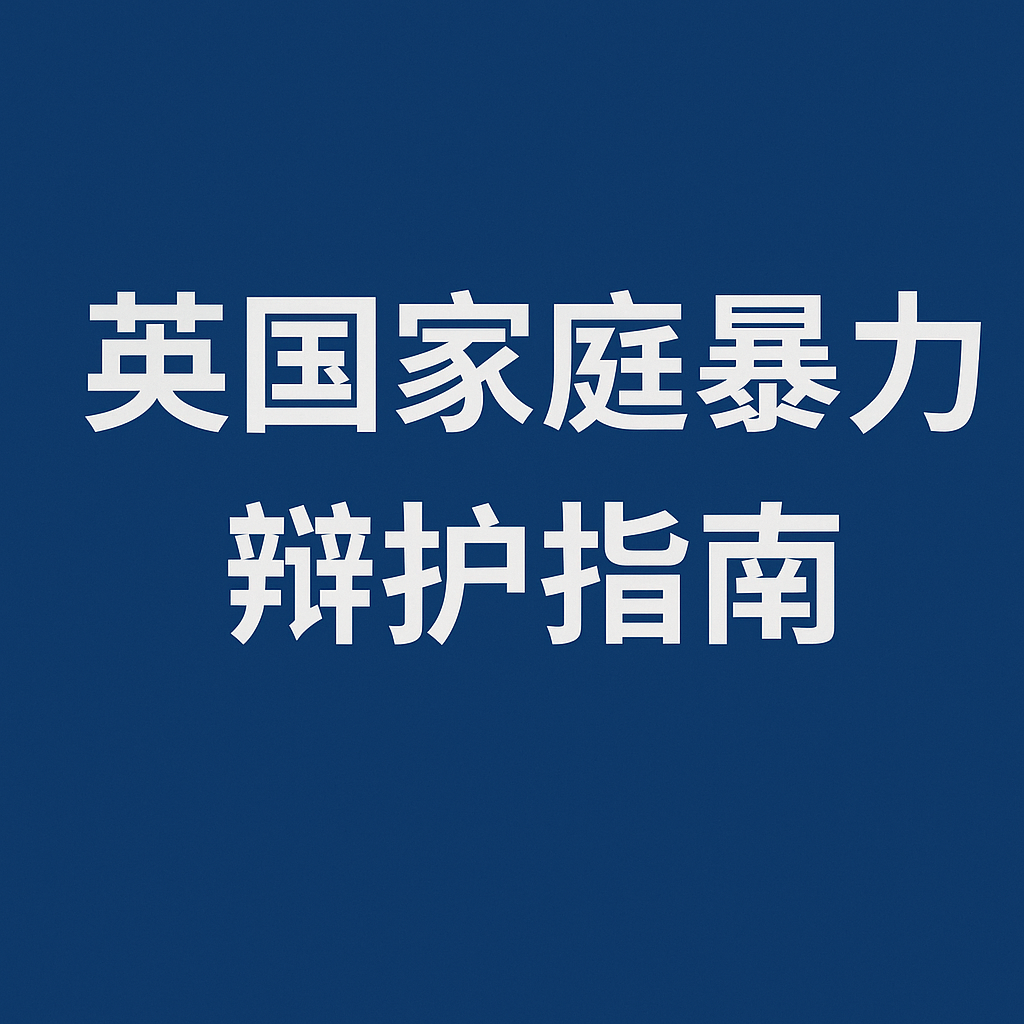 英国家庭暴力案件： 被告人实用法律指南 preview