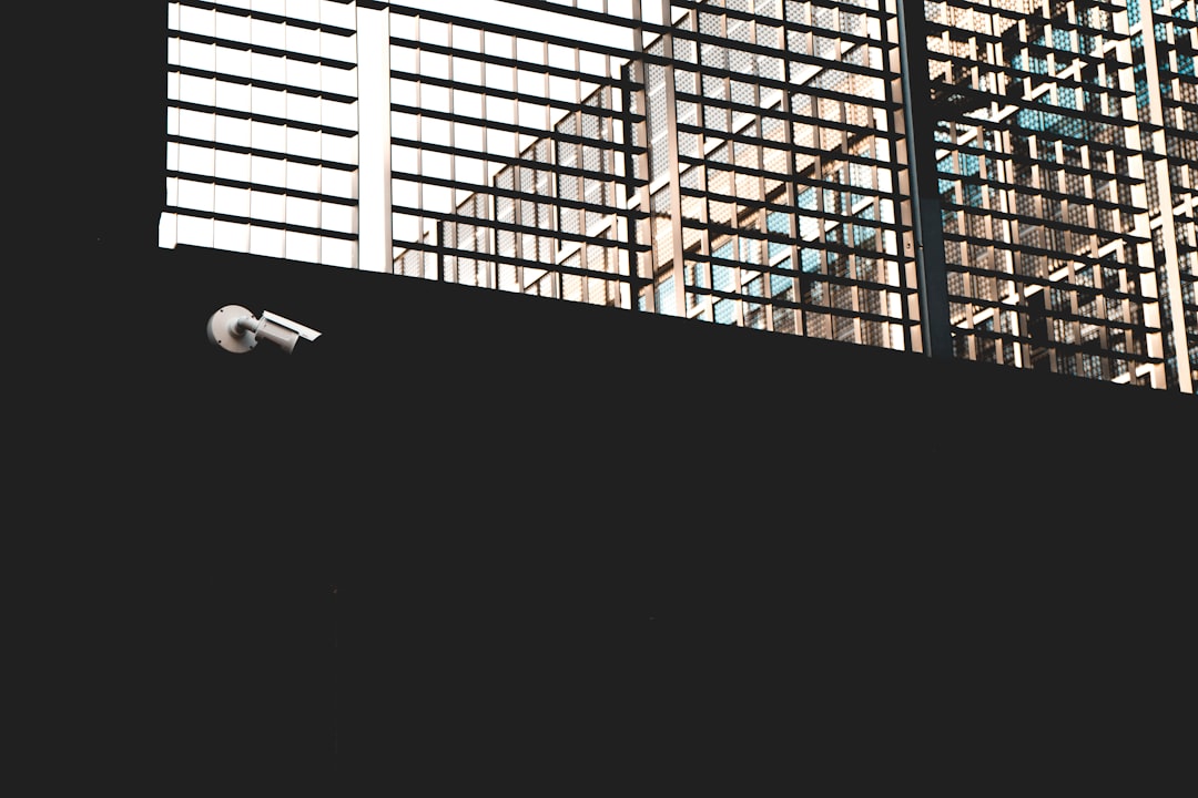 关于Bridgecom International Ltd诉财政与海关总署案的法律分析